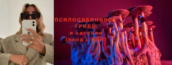 прущая мука Дмитриев