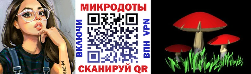 Купить где Грайворон Псилоцибиновые грибы мицелий