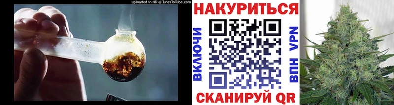 Канабис план  Купить где  Грайворон 